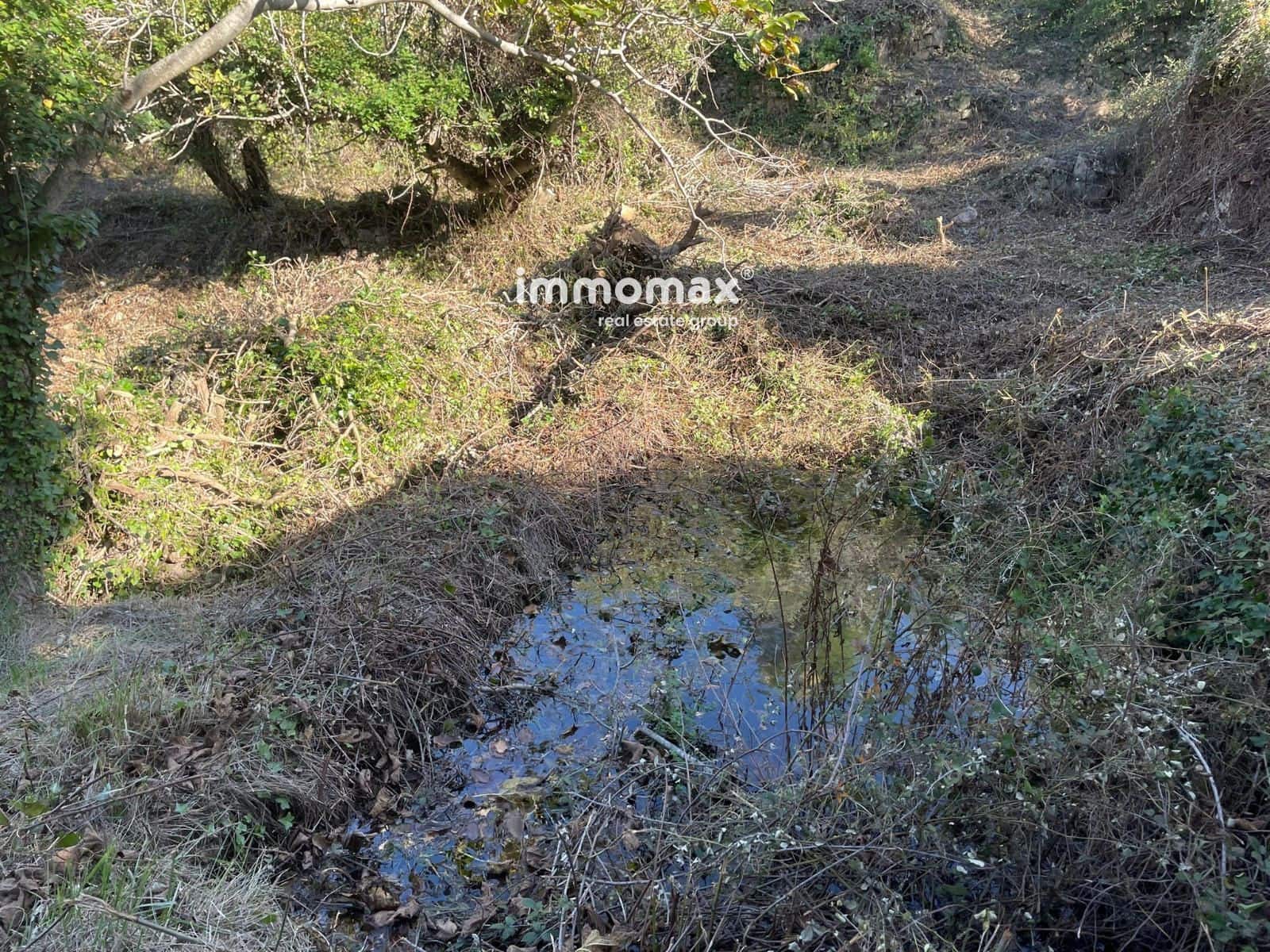 Ubebygd land til salgs i Pauls - € 55 000 (Ref: 8048105)