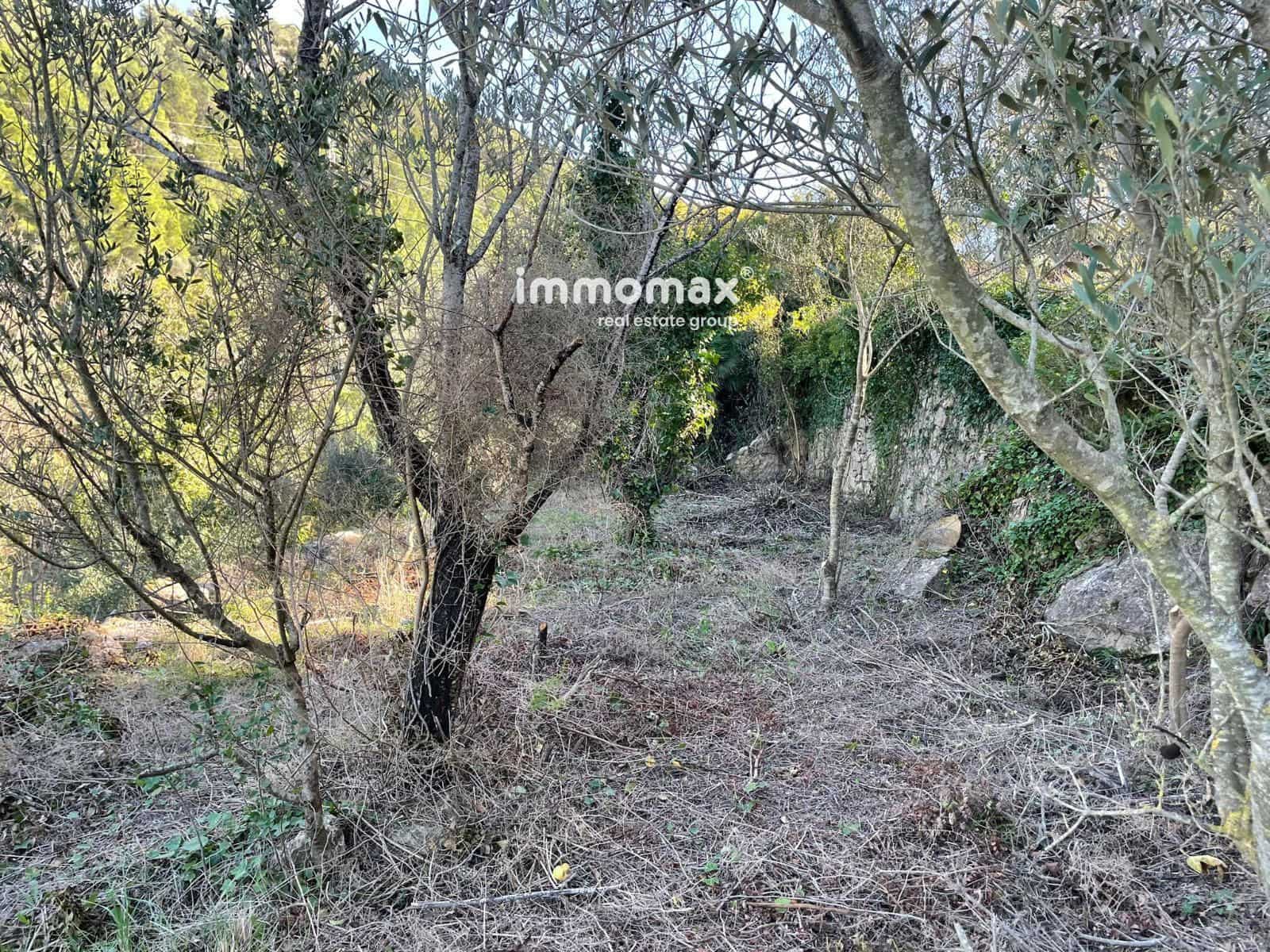 Ubebygd land til salgs i Pauls - € 55 000 (Ref: 8048105)