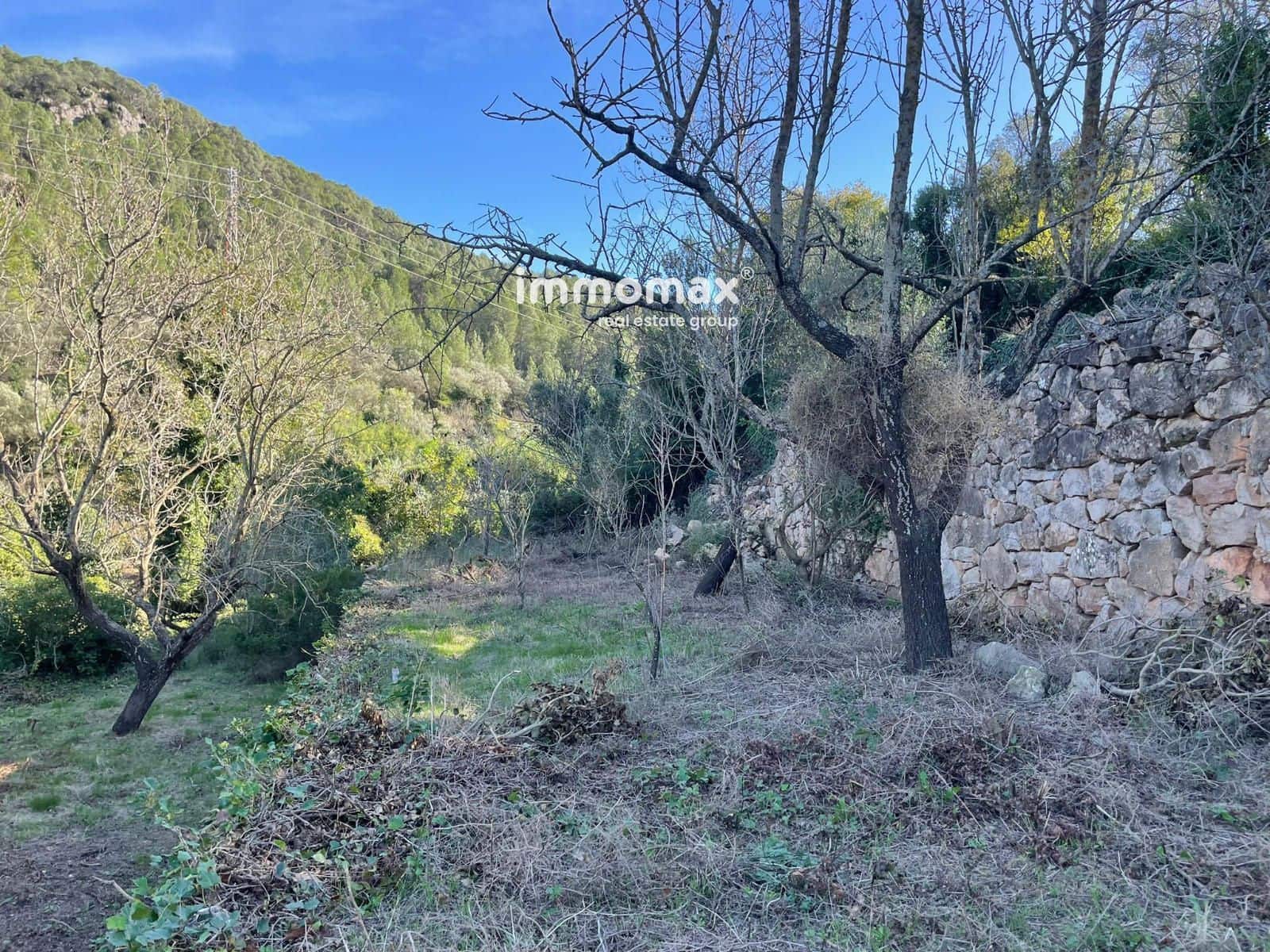 Ubebygd land til salgs i Pauls - € 55 000 (Ref: 8048105)