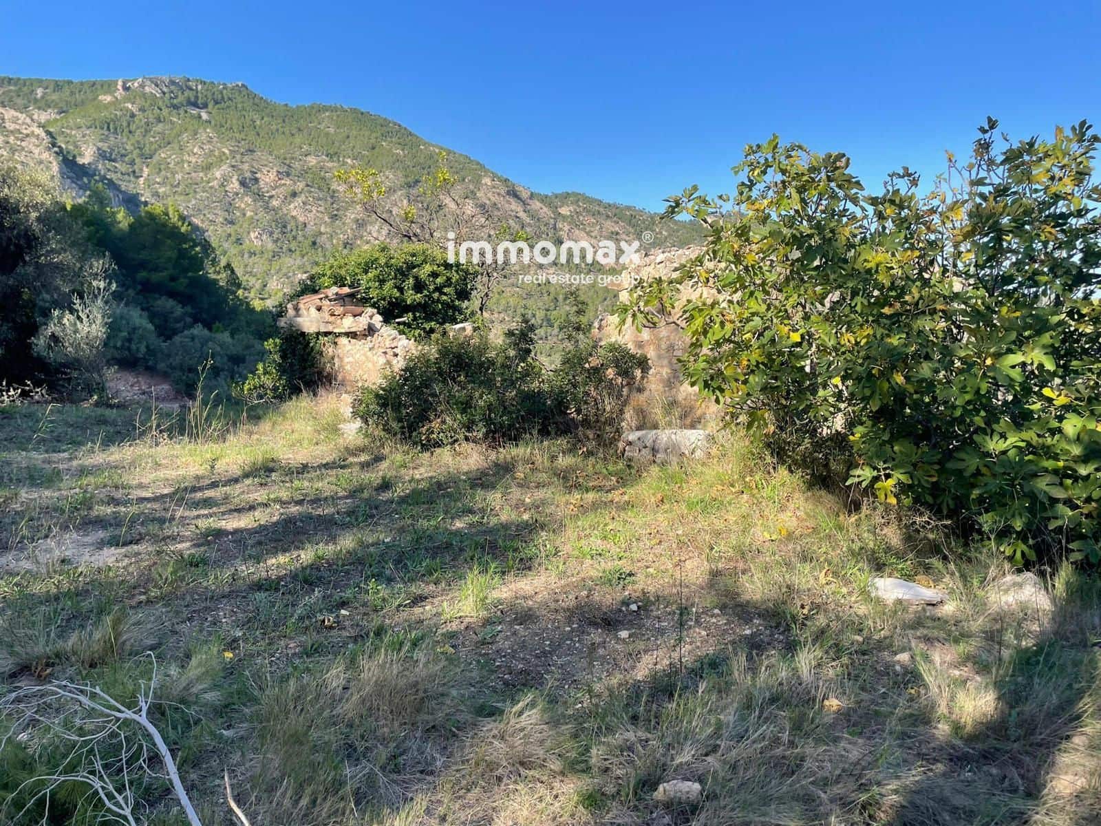 Ubebygd land til salgs i Pauls - € 55 000 (Ref: 8048105)