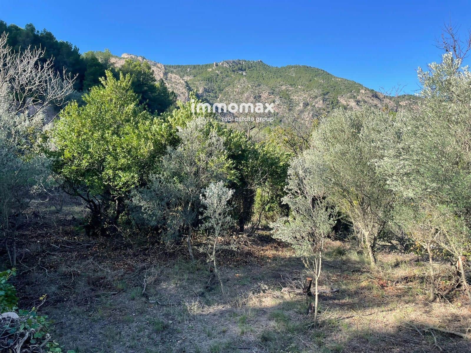 Ubebygd land til salgs i Pauls - € 55 000 (Ref: 8048105)