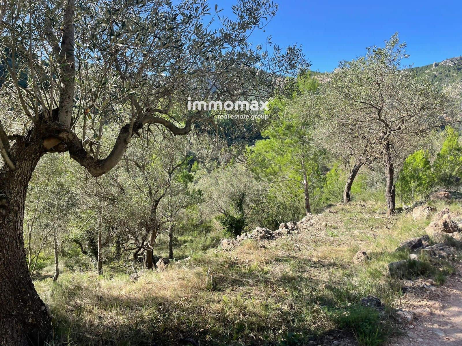 Ubebygd land til salgs i Pauls - € 55 000 (Ref: 8048105)