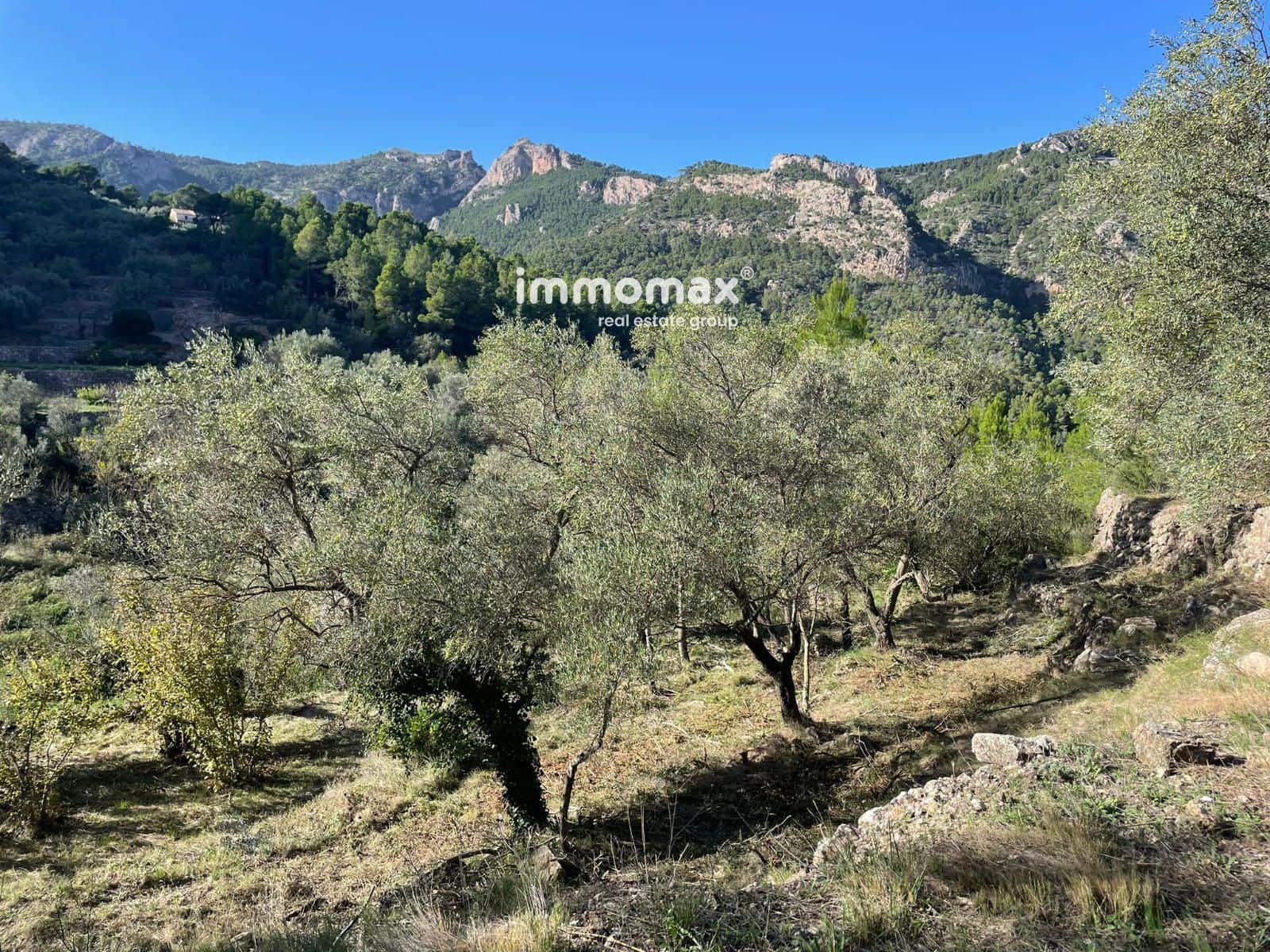 Ubebygd land til salgs i Pauls - € 55 000 (Ref: 8048105)