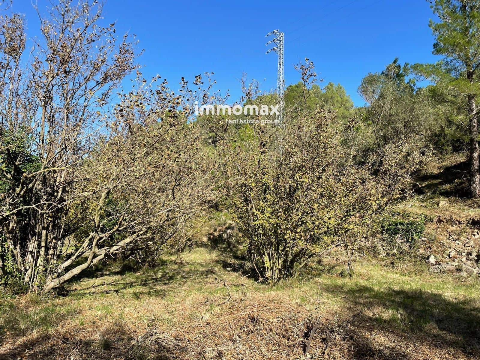 Ubebygd land til salgs i Pauls - € 55 000 (Ref: 8048105)