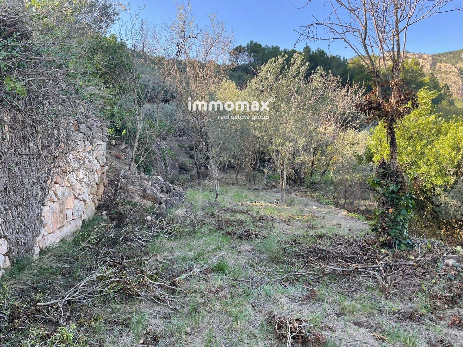 Ubebygd land til salgs i Pauls - € 55 000 (Ref: 8048105)