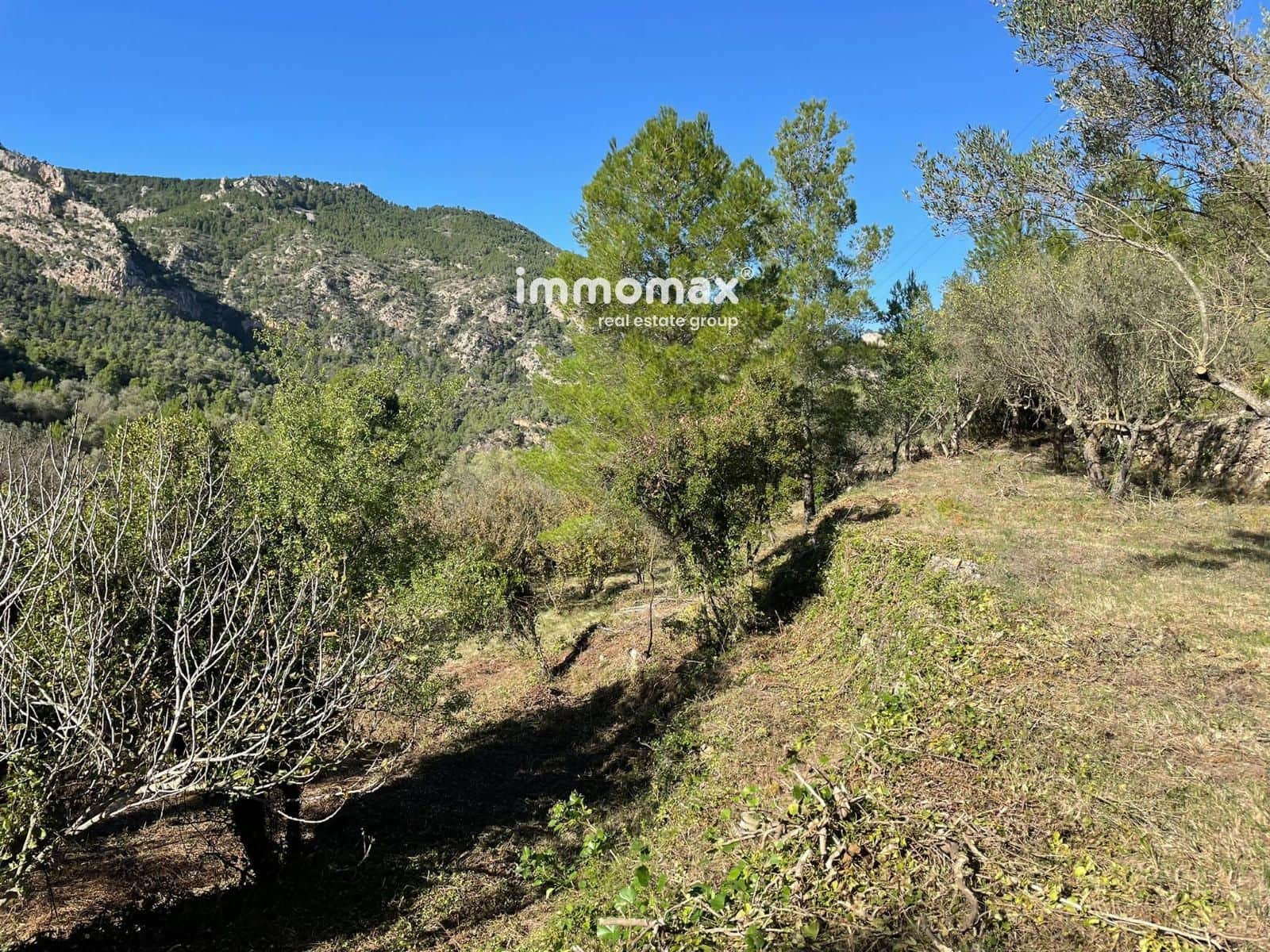 Ubebygd land til salgs i Pauls - € 55 000 (Ref: 8048105)