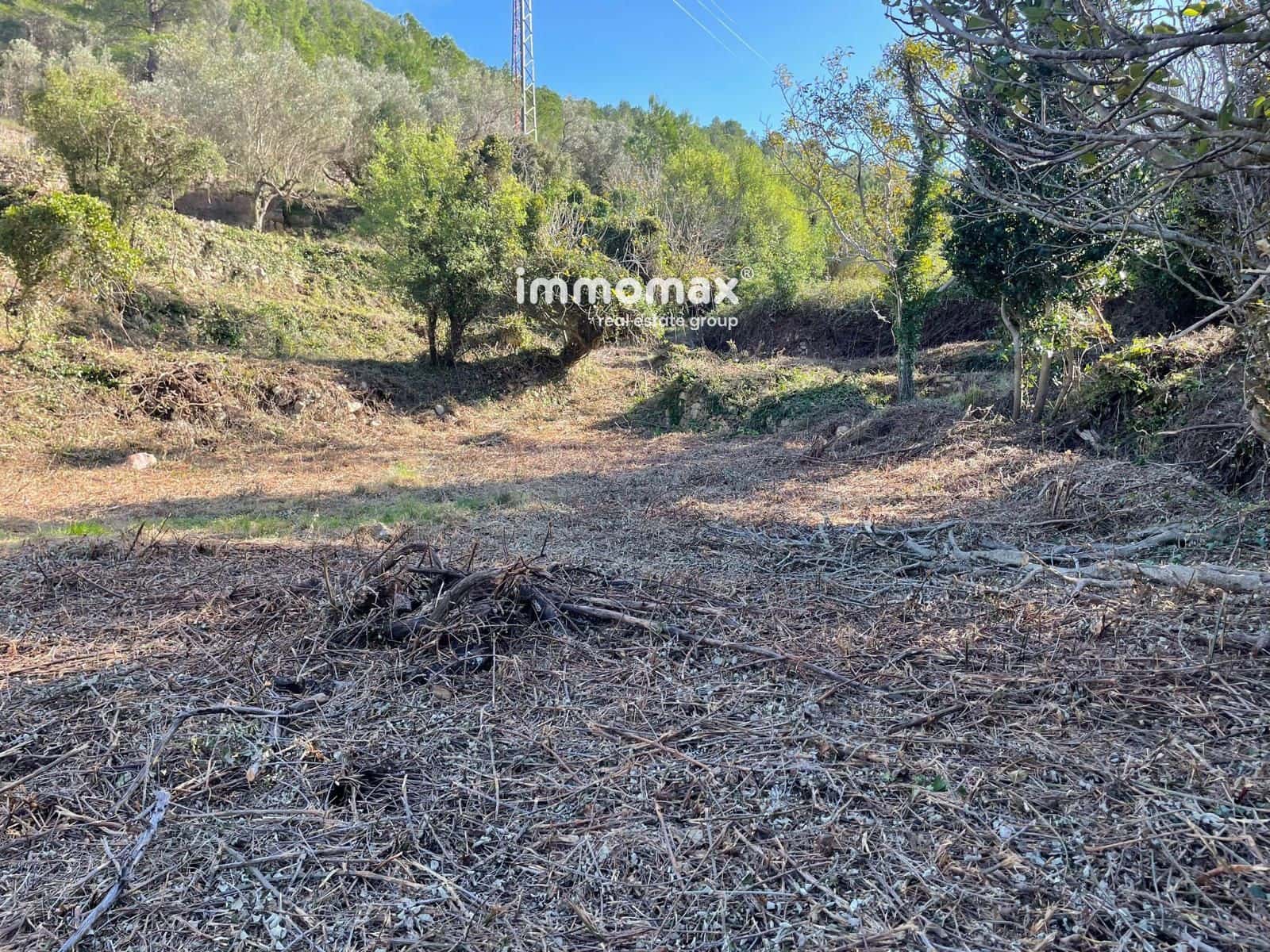 Ubebygd land til salgs i Pauls - € 55 000 (Ref: 8048105)