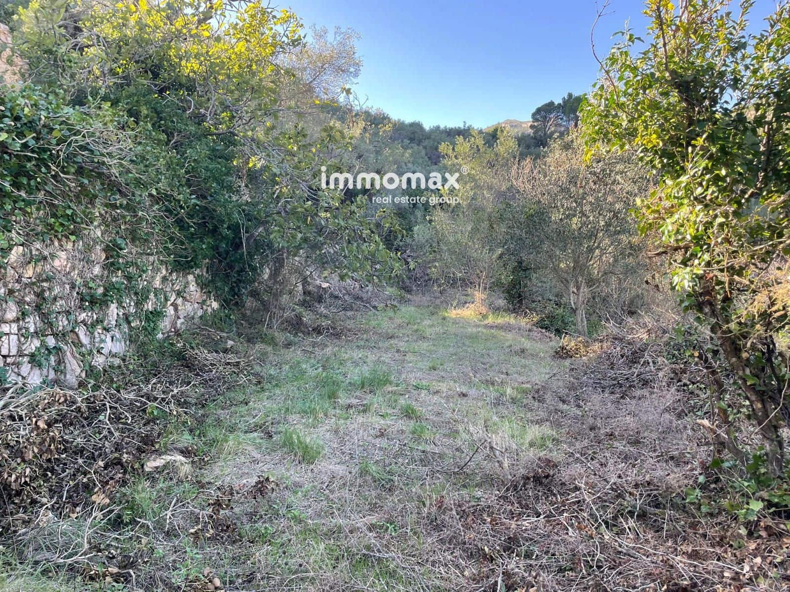 Ubebygd land til salgs i Pauls - € 55 000 (Ref: 8048105)