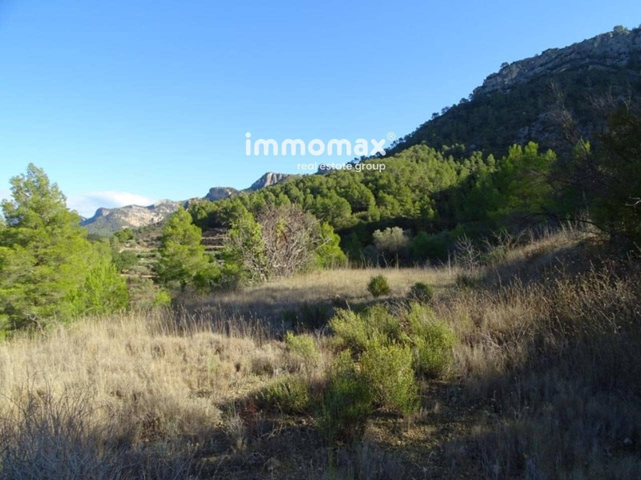 Ubebygd land til salgs i Benifallet - € 46 000 (Ref: 8048106)