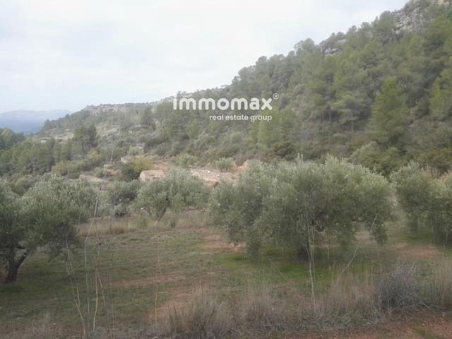 Undeveloped Land for sale in Benifallet - € 37,000 (Ref: 8048107)