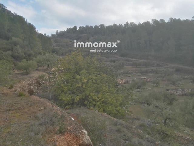 Undeveloped Land for sale in Benifallet - € 37,000 (Ref: 8048107)