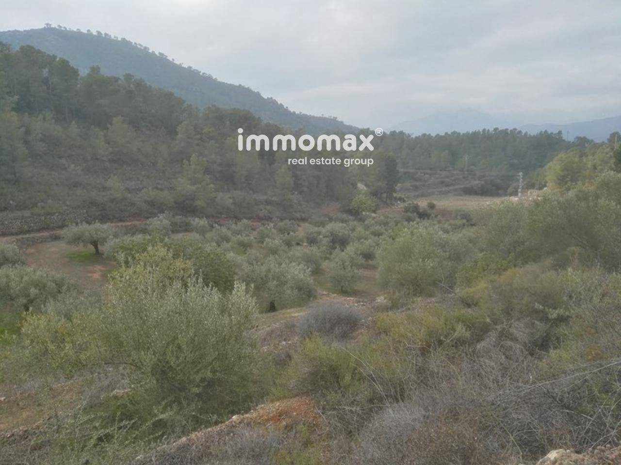 Ubebygd land til salgs i Benifallet - € 37 000 (Ref: 8048107)