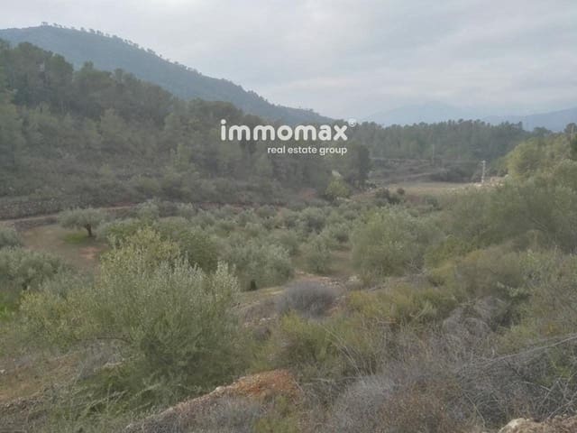 Undeveloped Land for sale in Benifallet - € 37,000 (Ref: 8048107)