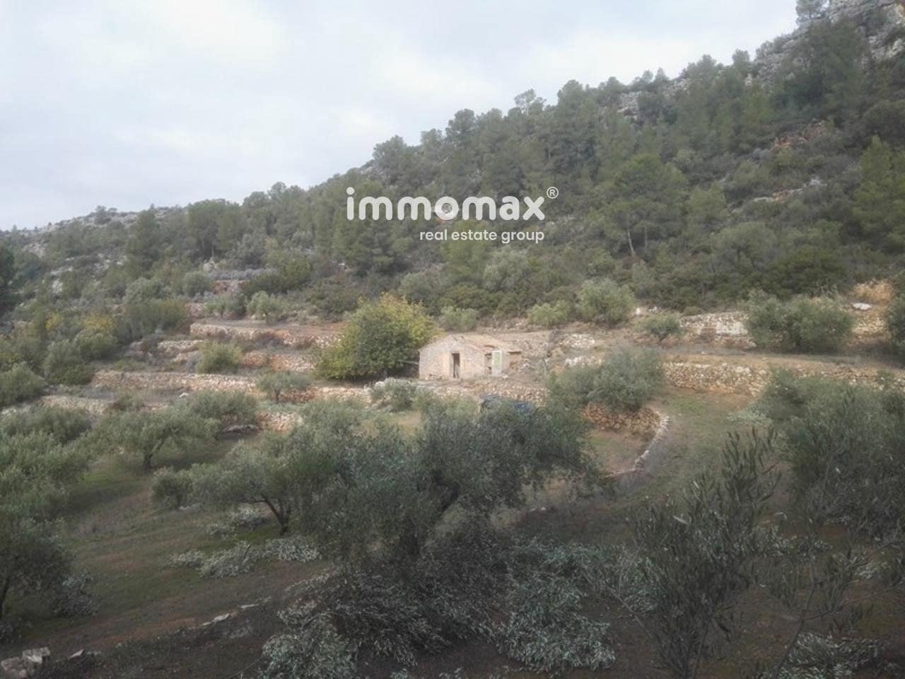 Ubebygd land til salgs i Benifallet - € 37 000 (Ref: 8048107)