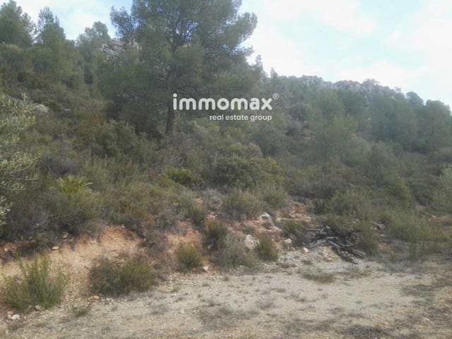 Undeveloped Land for sale in Benifallet - € 37,000 (Ref: 8048107)