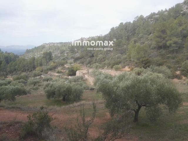 Undeveloped Land for sale in Benifallet - € 37,000 (Ref: 8048107)