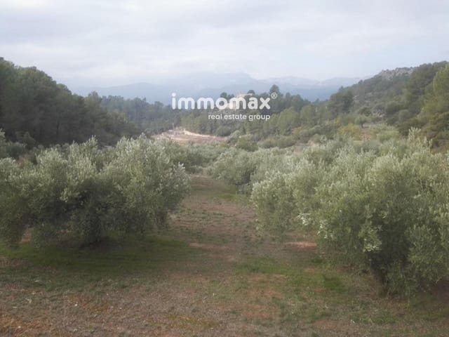 Undeveloped Land for sale in Benifallet - € 37,000 (Ref: 8048107)