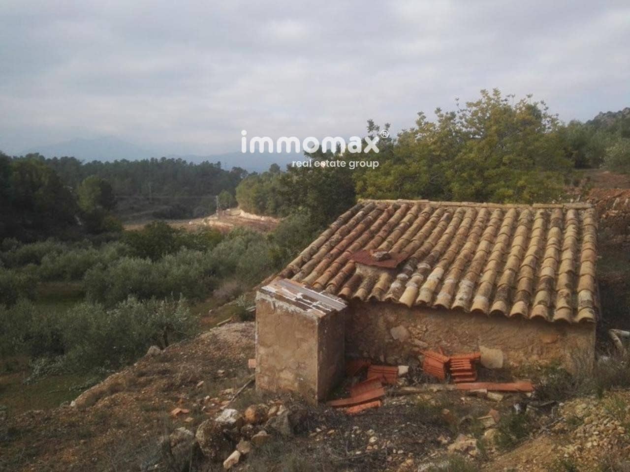 Ubebygd land til salgs i Benifallet - € 37 000 (Ref: 8048107)