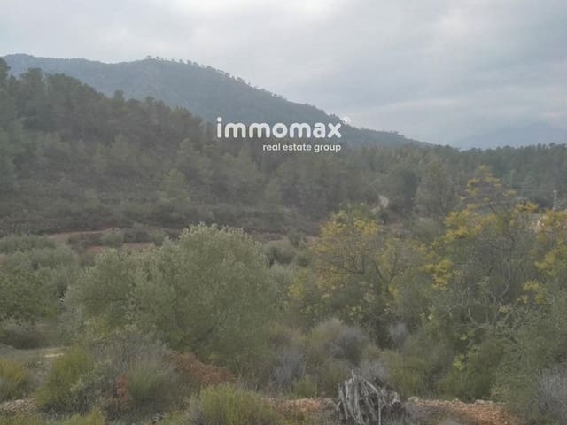 Undeveloped Land for sale in Benifallet - € 37,000 (Ref: 8048107)
