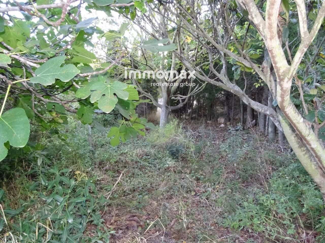 Undeveloped Land for sale in Pauls - € 295,000 (Ref: 8048109)