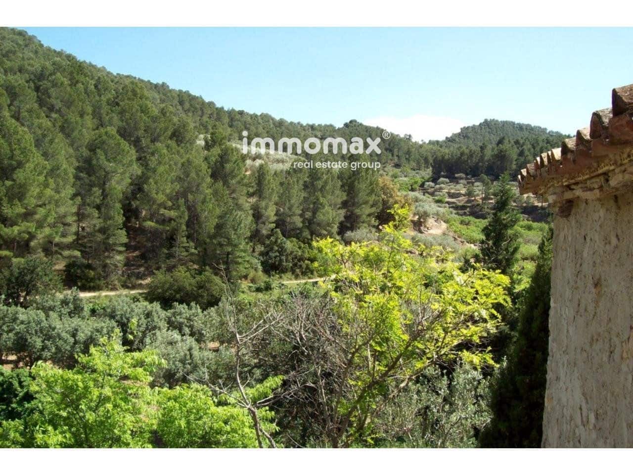 Undeveloped Land for sale in Pauls - € 295,000 (Ref: 8048109)