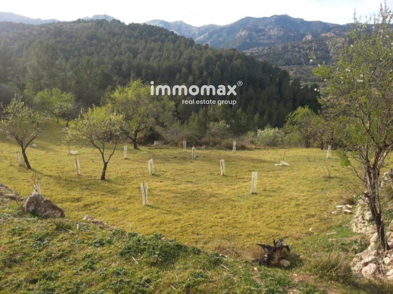 Grunde uden byggetilladelser til salg i Pauls - € 86.000 (Ref: 8048111)