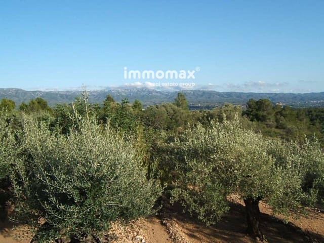 Undeveloped Land for sale in Xerta - € 66,000 (Ref: 8050272)