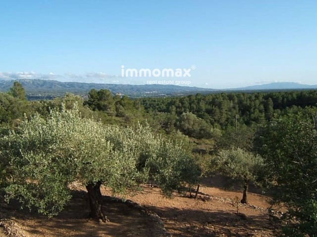 Undeveloped Land for sale in Xerta - € 66,000 (Ref: 8050272)