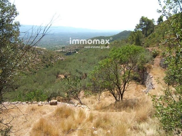 Mark till salu i Alfara de Carles - 46 000 € (Ref: 8050276)