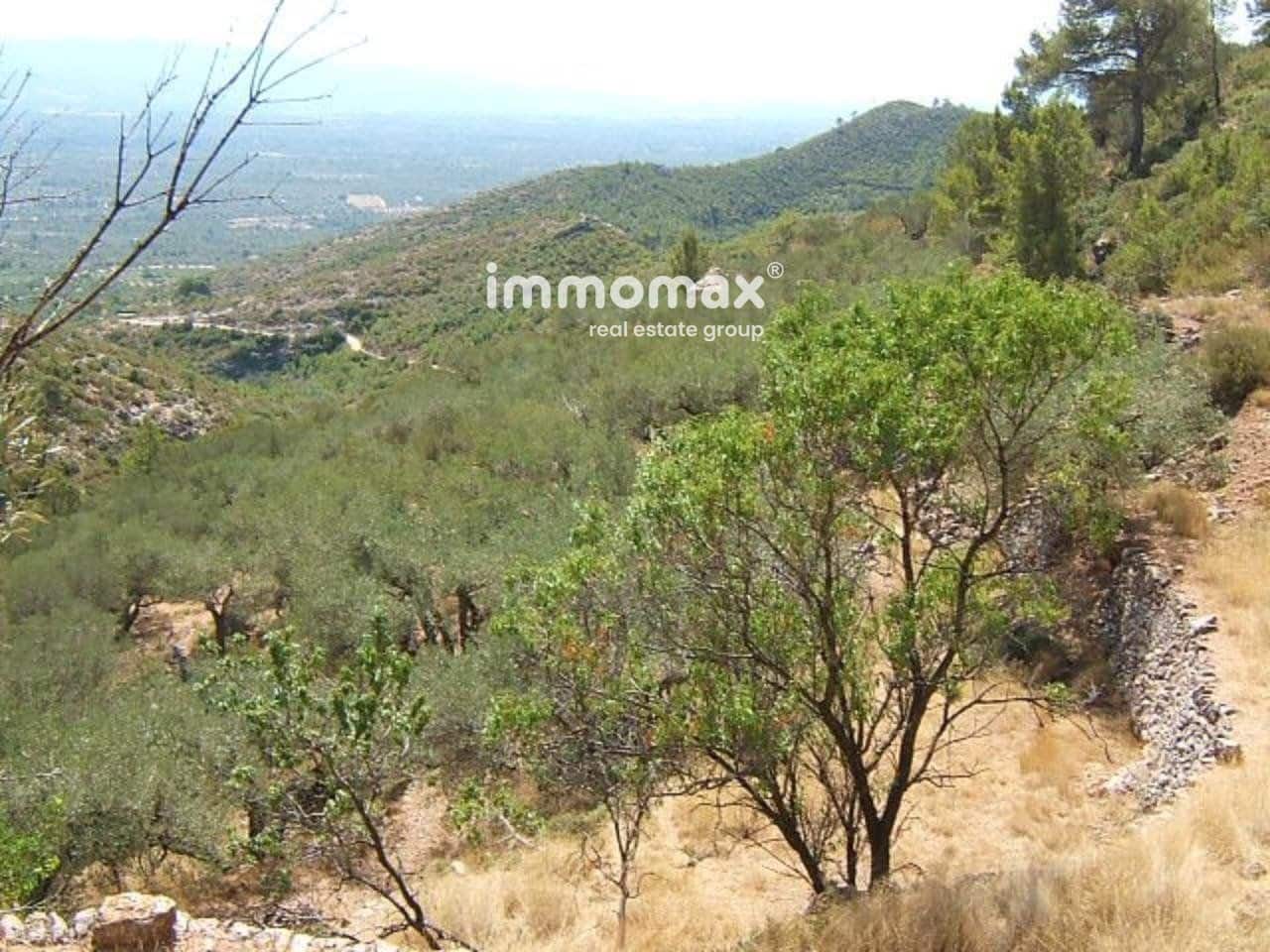 Grond te koop in Alfara de Carles - € 46.000 (Ref: 8050276)