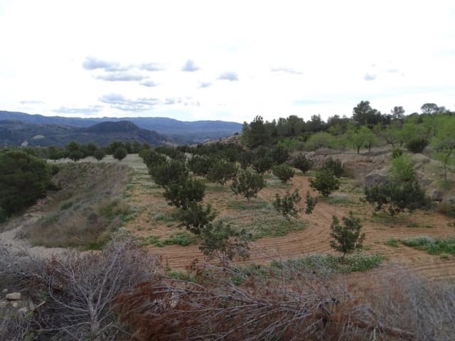 Undeveloped Land for sale in Xerta - € 58,000 (Ref: 8050282)