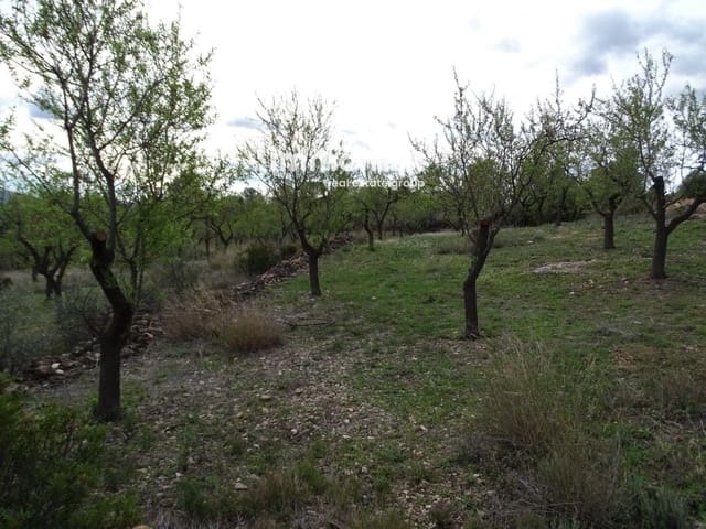 Undeveloped Land for sale in Xerta - € 58,000 (Ref: 8050282)