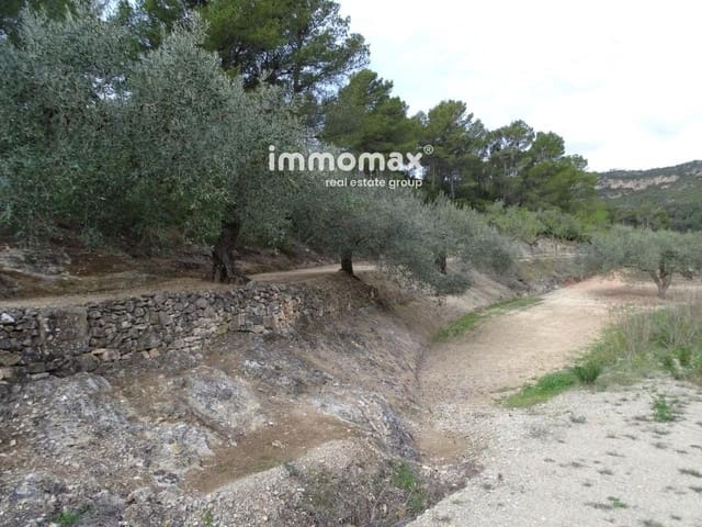 Undeveloped Land for sale in Xerta - € 58,000 (Ref: 8050282)