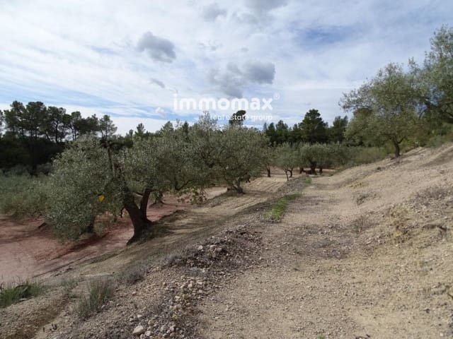 Undeveloped Land for sale in Xerta - € 58,000 (Ref: 8050282)