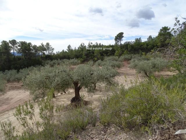 Undeveloped Land for sale in Xerta - € 58,000 (Ref: 8050282)