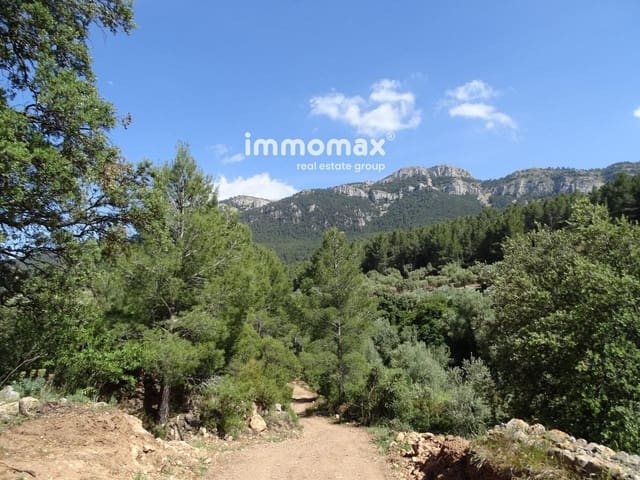 Ubebygd land til salgs i Paüls - € 33 000 (Ref: 8050284)