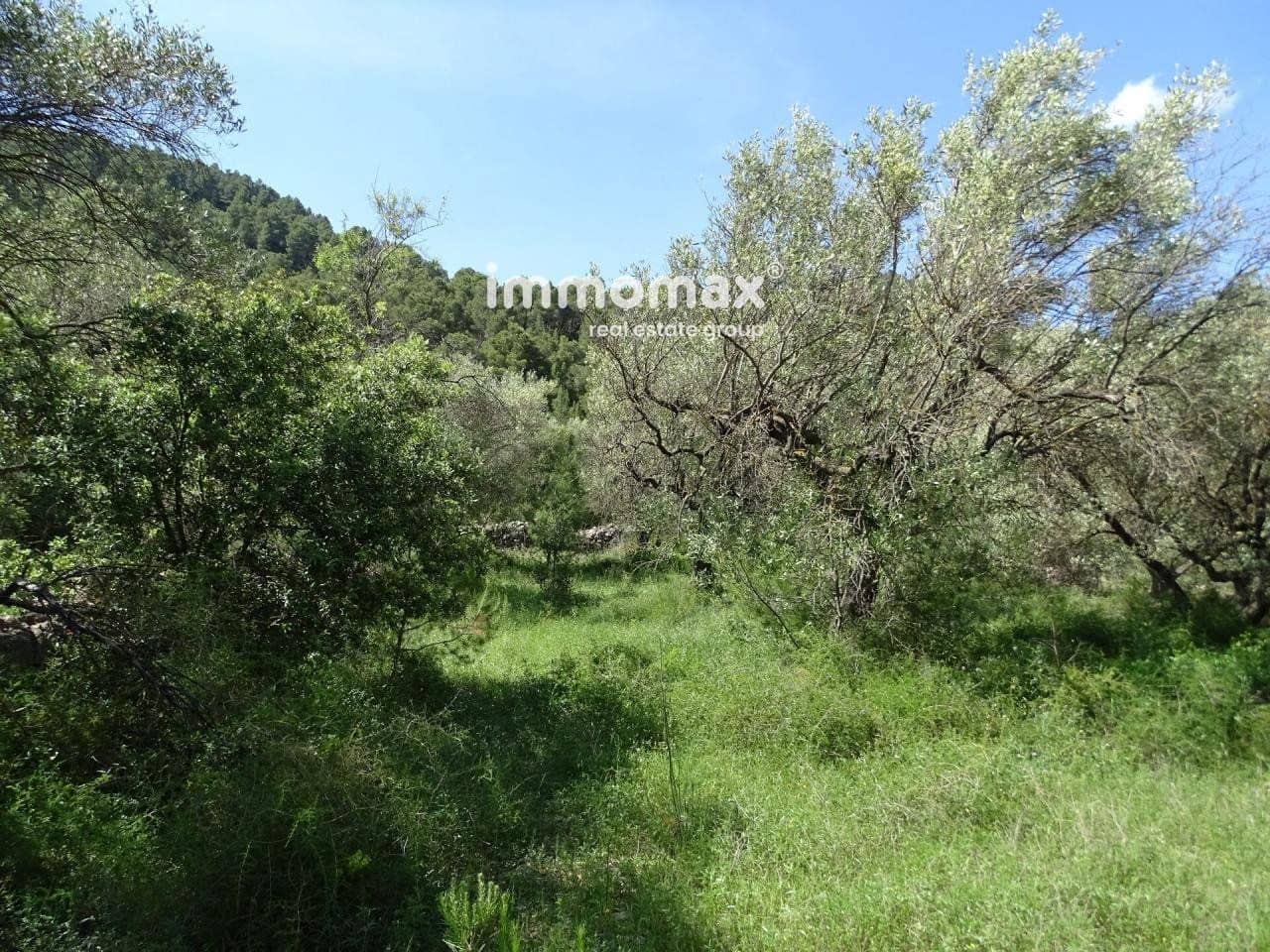 Ubebygd land til salgs i Pauls - € 33 000 (Ref: 8050284)