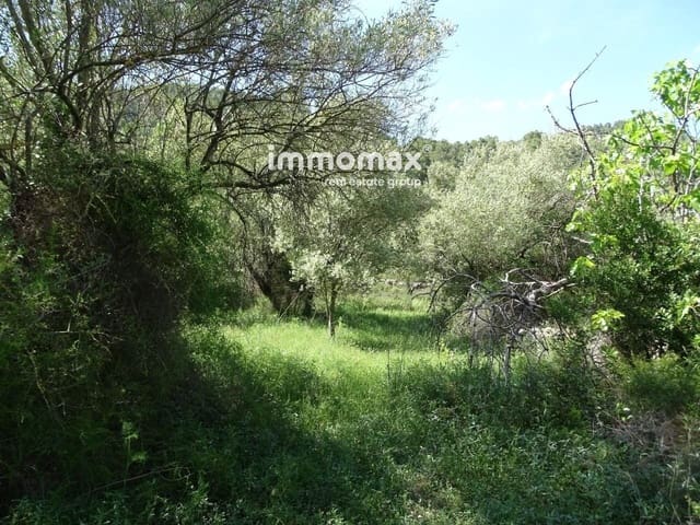 Ubebygd land til salgs i Paüls - € 33 000 (Ref: 8050284)