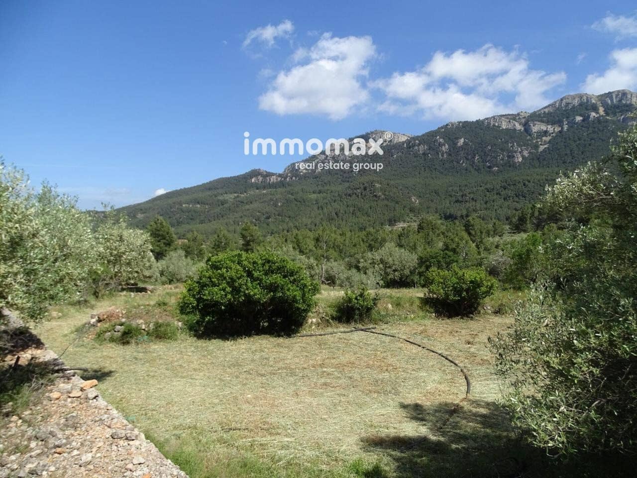 Ubebygd land til salgs i Pauls - € 33 000 (Ref: 8050284)