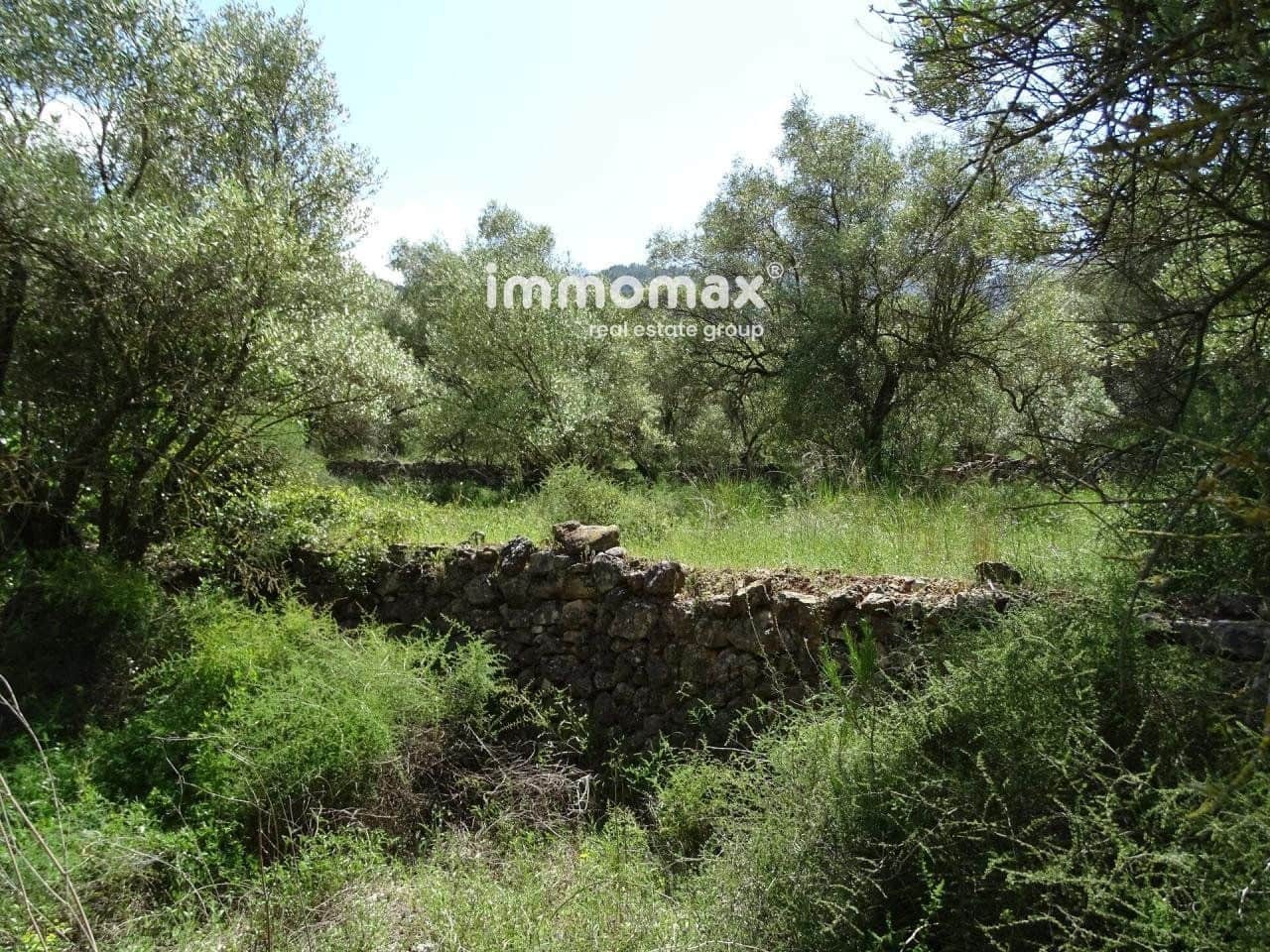 Ubebygd land til salgs i Pauls - € 33 000 (Ref: 8050284)