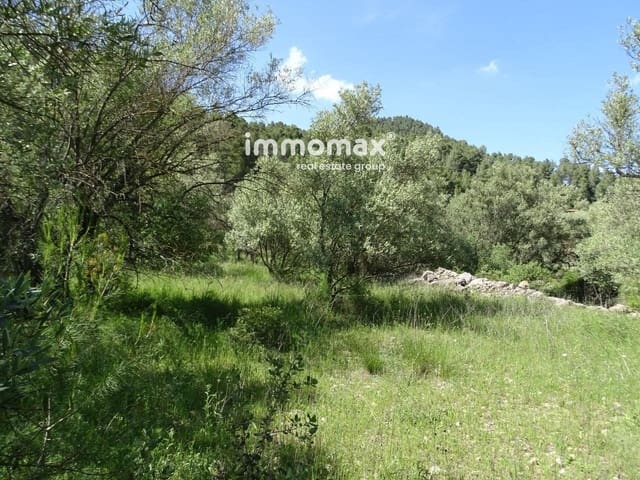 Ubebygd land til salgs i Paüls - € 33 000 (Ref: 8050284)