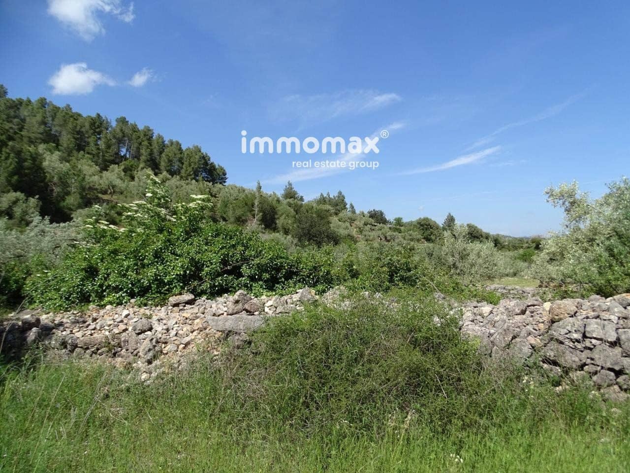 Ubebygd land til salgs i Pauls - € 33 000 (Ref: 8050284)