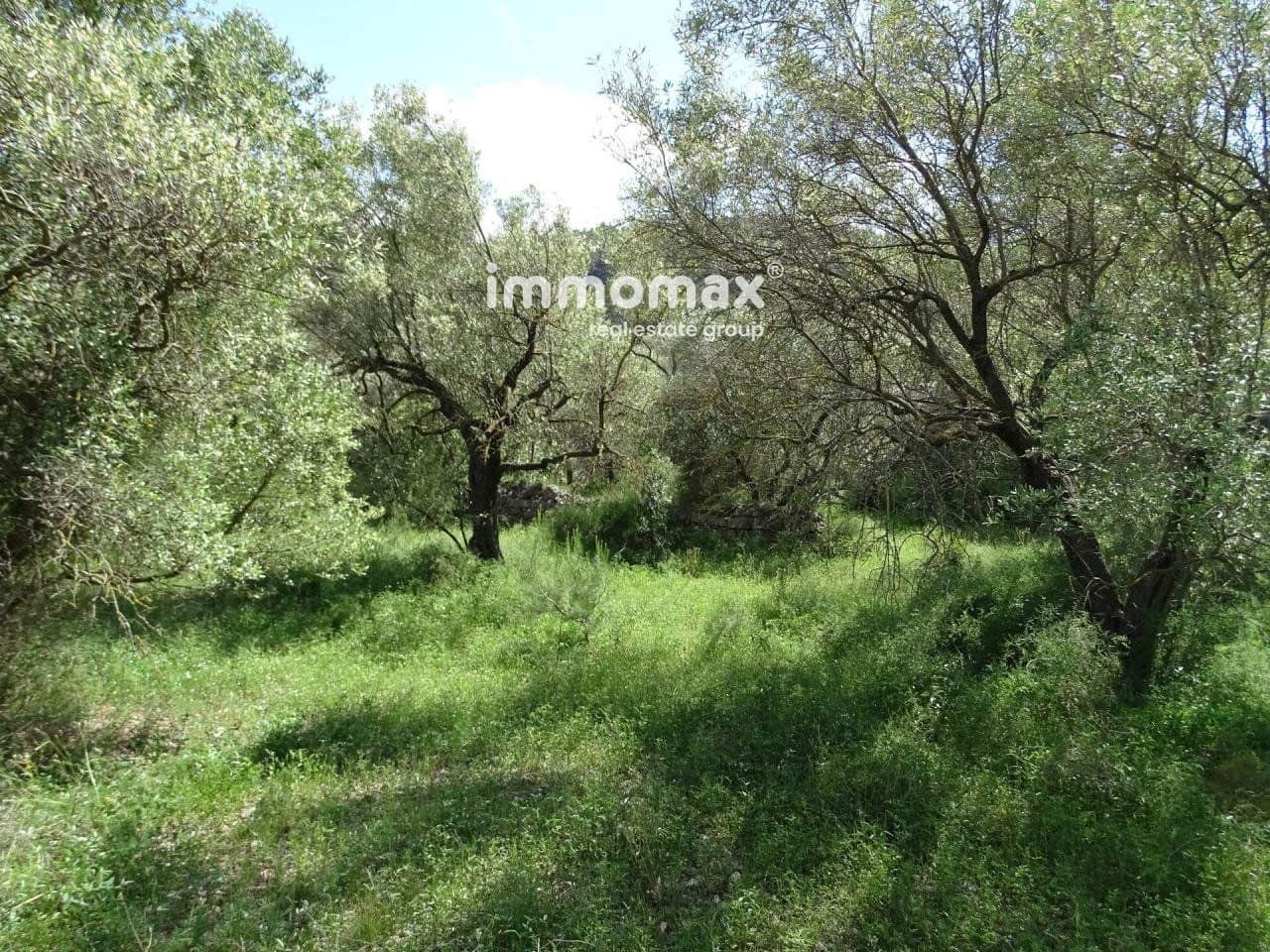 Ubebygd land til salgs i Pauls - € 33 000 (Ref: 8050284)