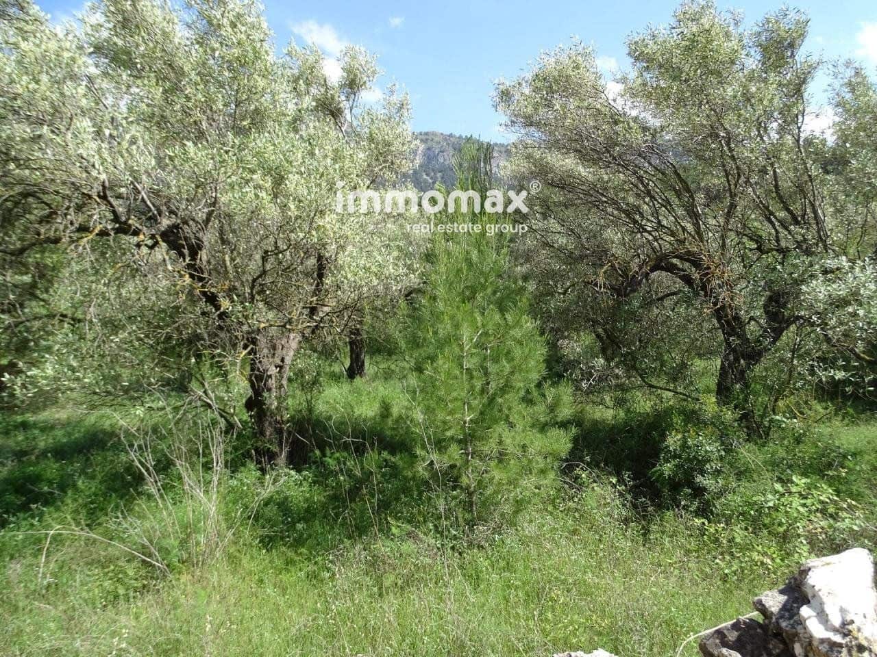 Ubebygd land til salgs i Pauls - € 33 000 (Ref: 8050284)