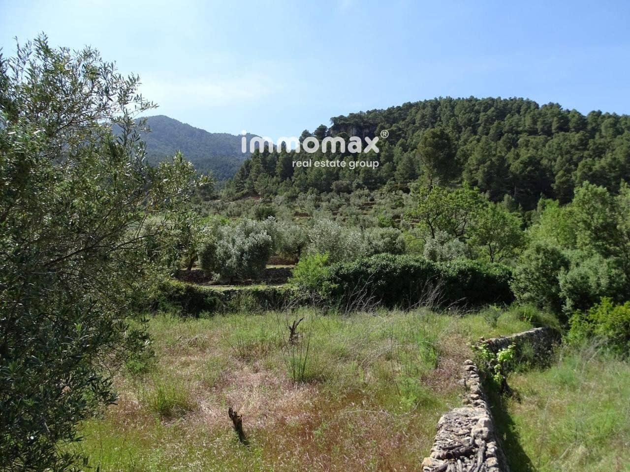 Ubebygd land til salgs i Pauls - € 33 000 (Ref: 8050284)