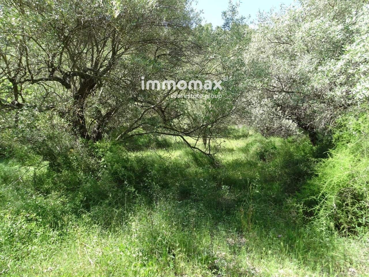 Ubebygd land til salgs i Pauls - € 33 000 (Ref: 8050284)