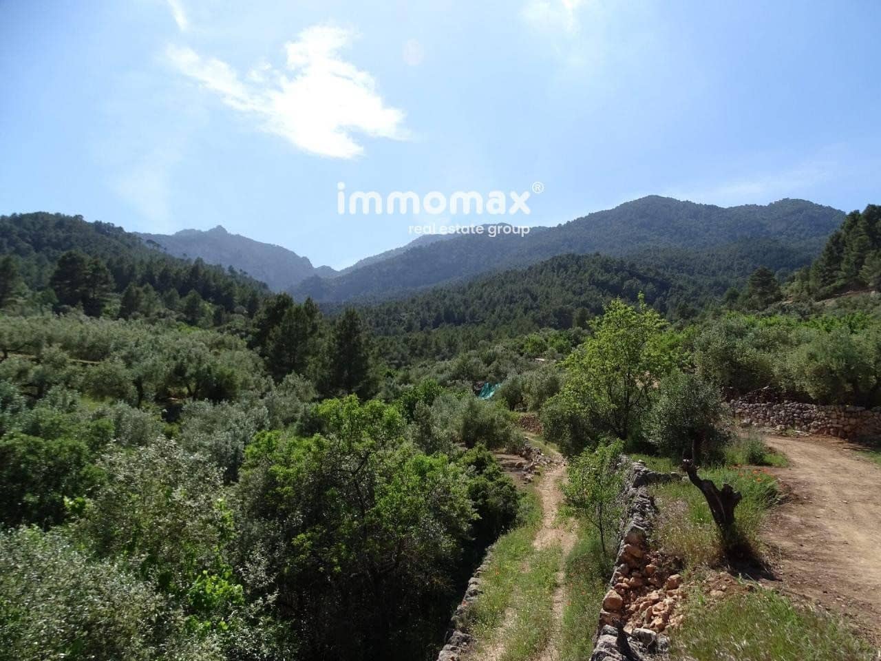 Ubebygd land til salgs i Pauls - € 33 000 (Ref: 8050284)