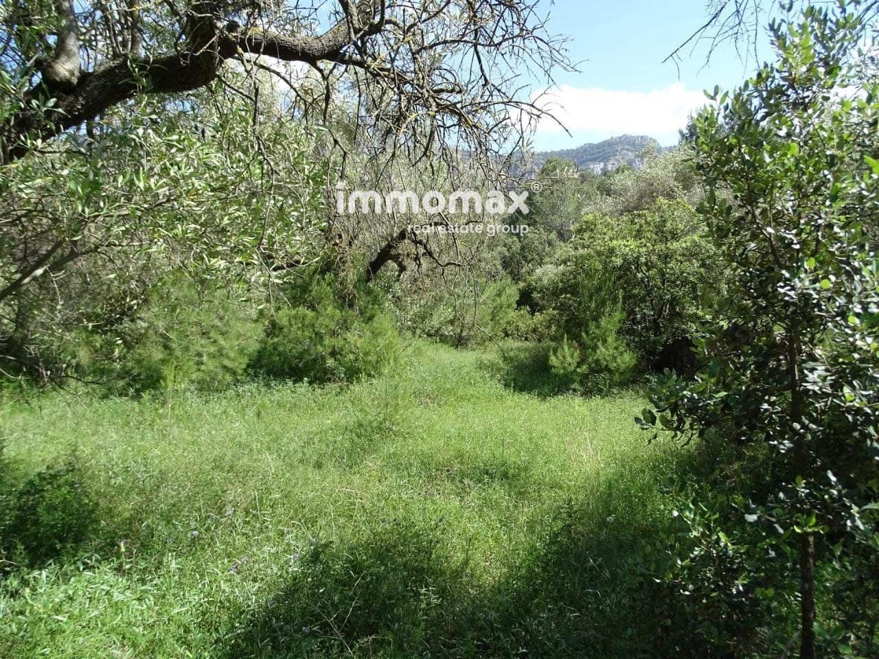 Ubebygd land til salgs i Pauls - € 33 000 (Ref: 8050284)