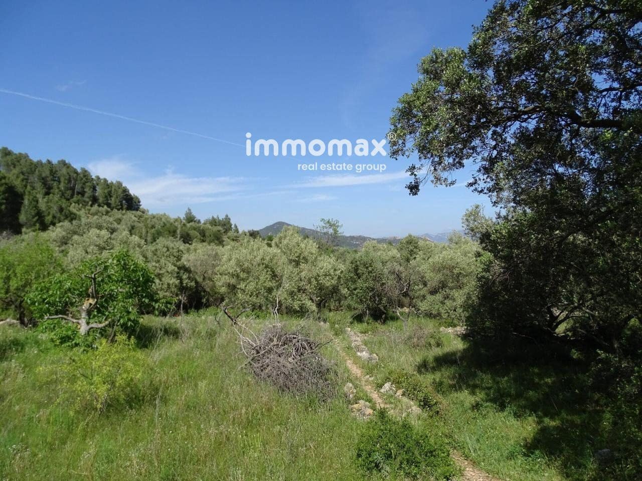 Ubebygd land til salgs i Pauls - € 33 000 (Ref: 8050284)