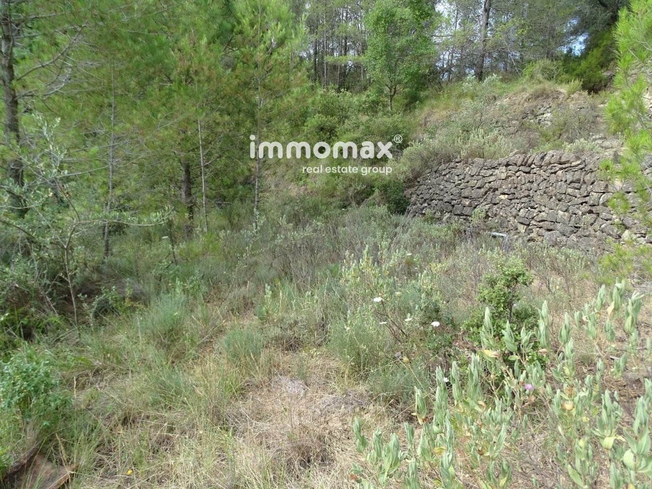 Grunde uden byggetilladelser til salg i Pauls - € 66.000 (Ref: 8050285)